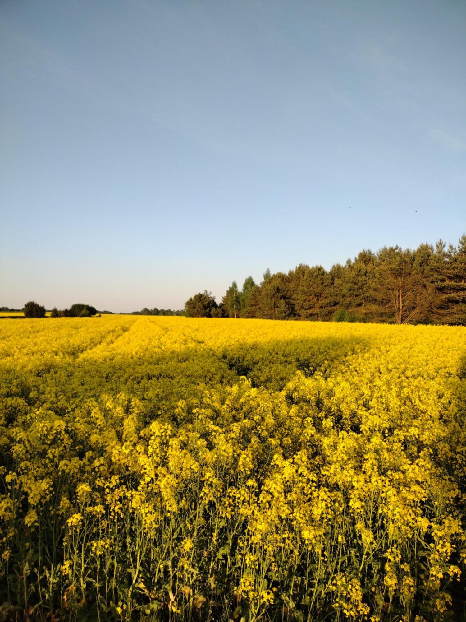 Panorama Podlasie Home&Spa Czyze Zewnętrze zdjęcie